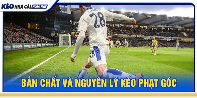 Bản chất và nguyên lý kèo phạt góc
