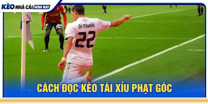 Cách đọc kèo tài xỉu phạt góc
