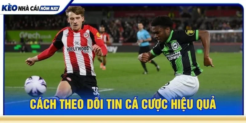 Người dùng nên xác định rõ nhóm tin cá cược mình đang quan tâm