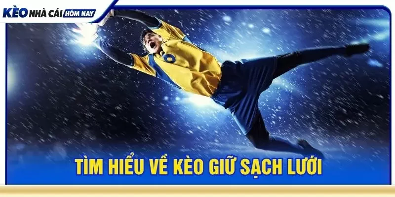 Tìm hiểu về kèo giữ sạch lưới