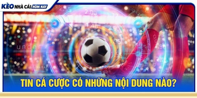Tin cá cược tập hợp các nội dung xoay quanh trận đấu