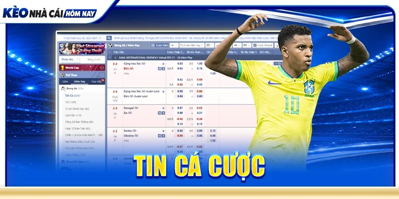 Tin cá cược