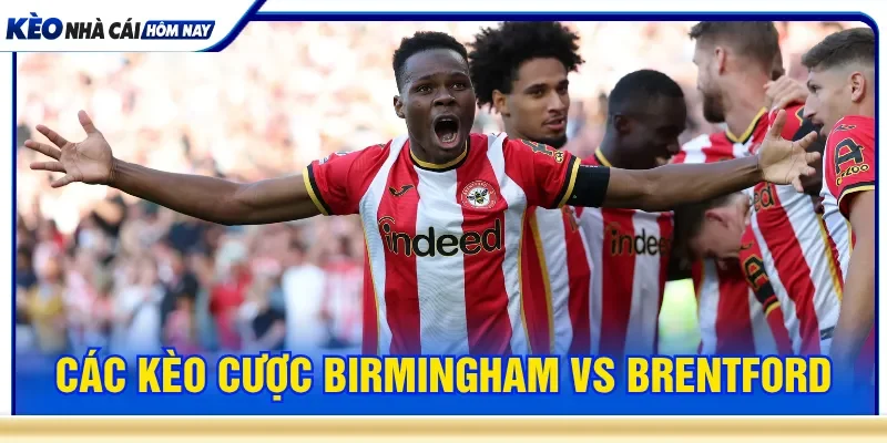 Tỷ lệ kèo xuất hiện Birmingham vs Brentford 2h00 ngày 26/8