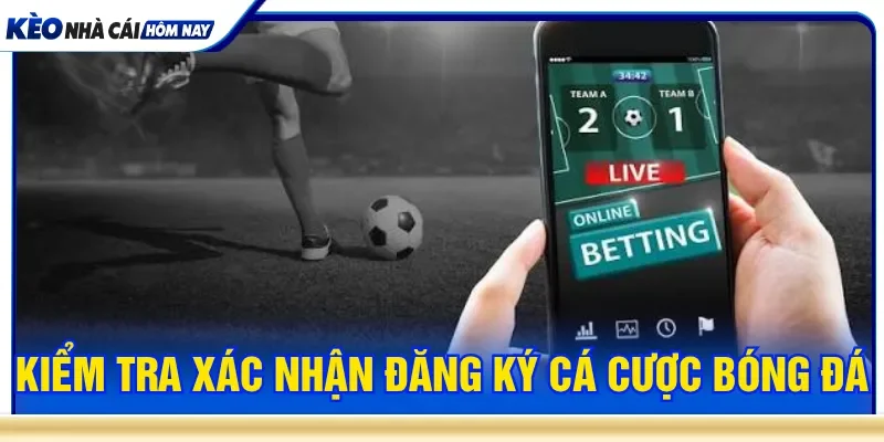 Xác nhận dữ liệu khi đăng ký cá cược bóng đá an toàn