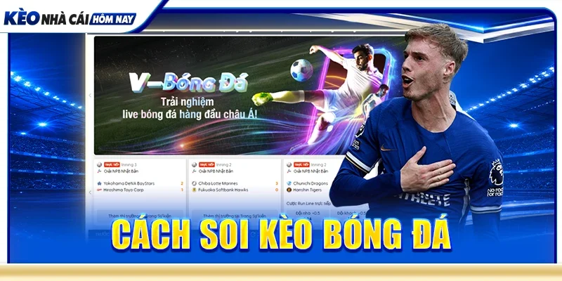 Cách soi kèo bóng đá